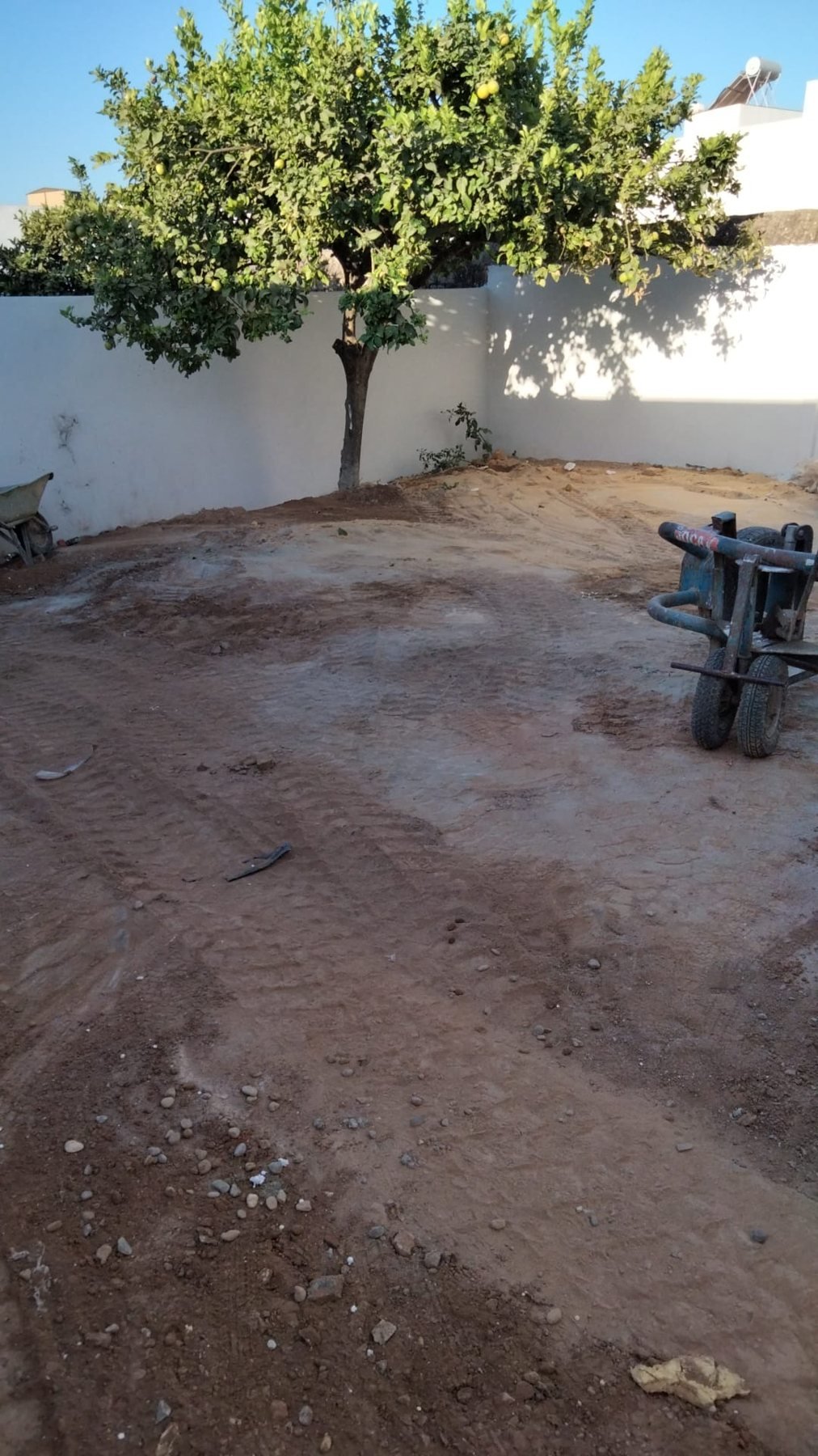 Patio con suelo de tierra, una carretilla y un árbol junto al muro