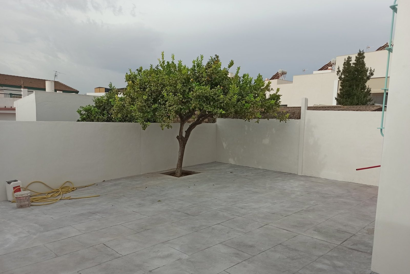 Patio de GINES pavimentado, con árbol