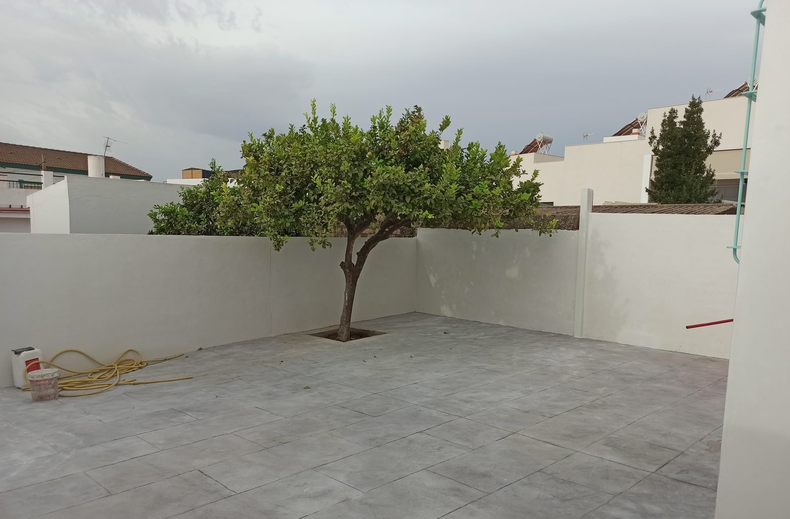 Patio pavimentado con el mismo árbol y los muros encalados